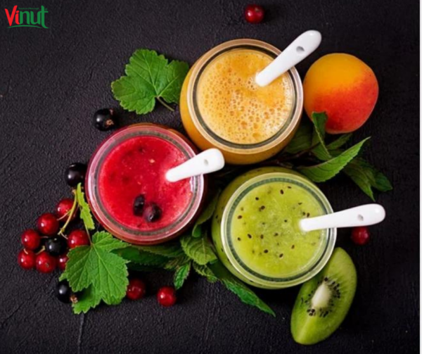 Vinut_Make healthy fruit juice at home