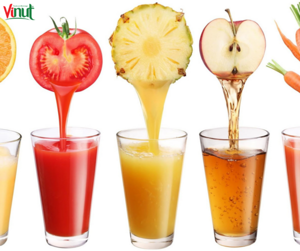 Vinut_Make healthy fruit juice at home