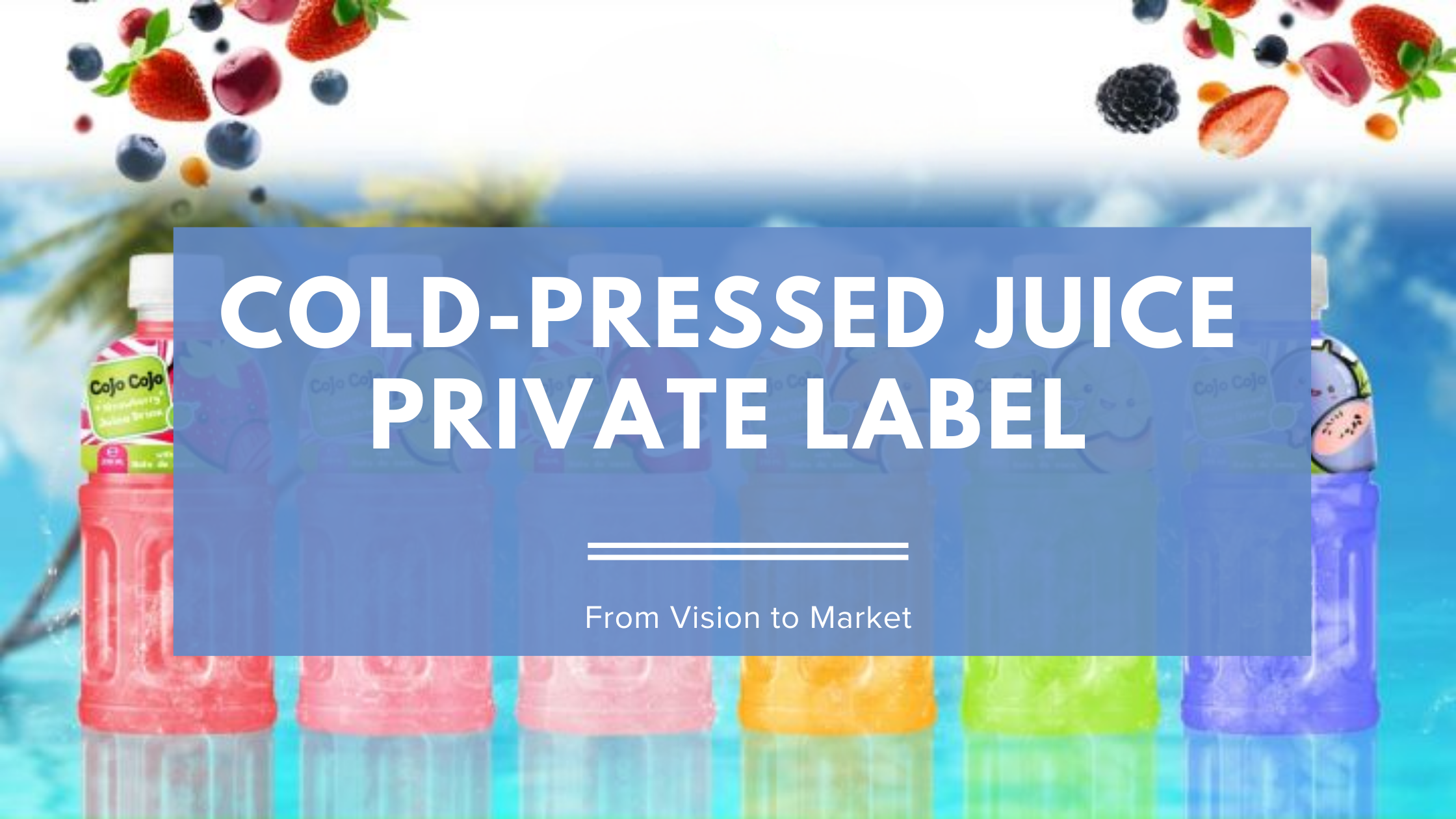 Cold-Pressed Juice Private Label: From Vision to Market