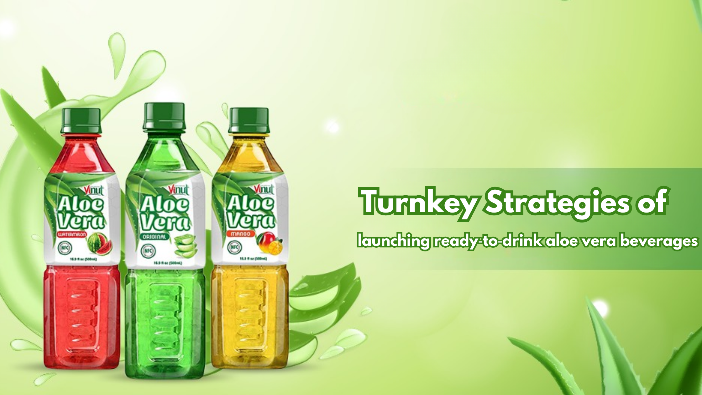 Unlocking Success: Strategies for Launching ‑Drink Aloe Vera Beverages