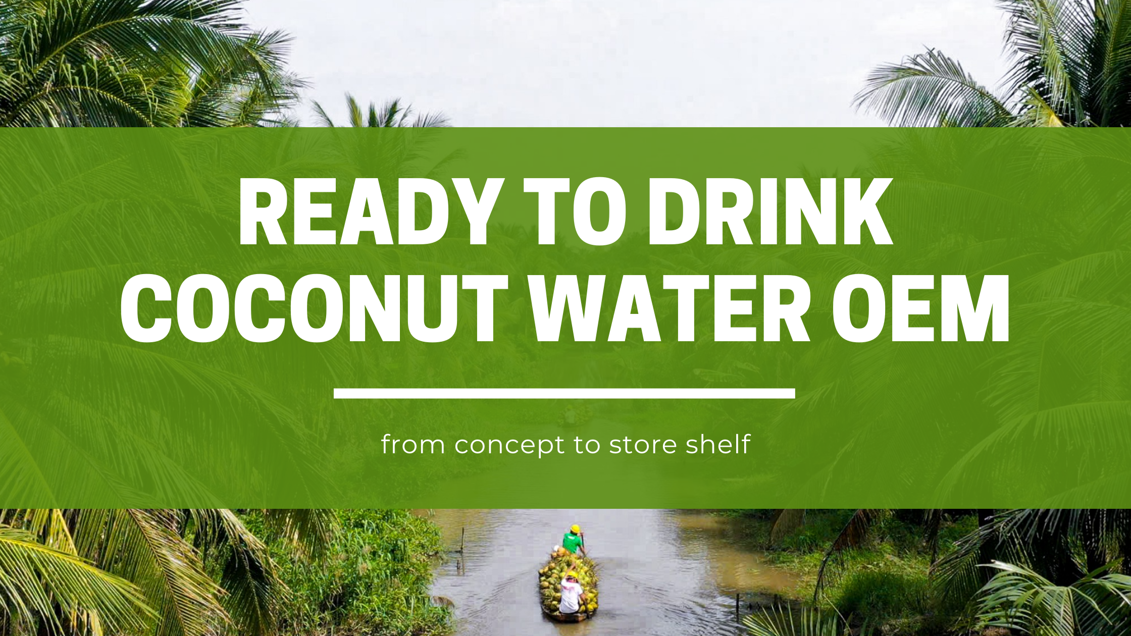 Ready-to-Drink Coconut Water OEM: Build, Launch, Win