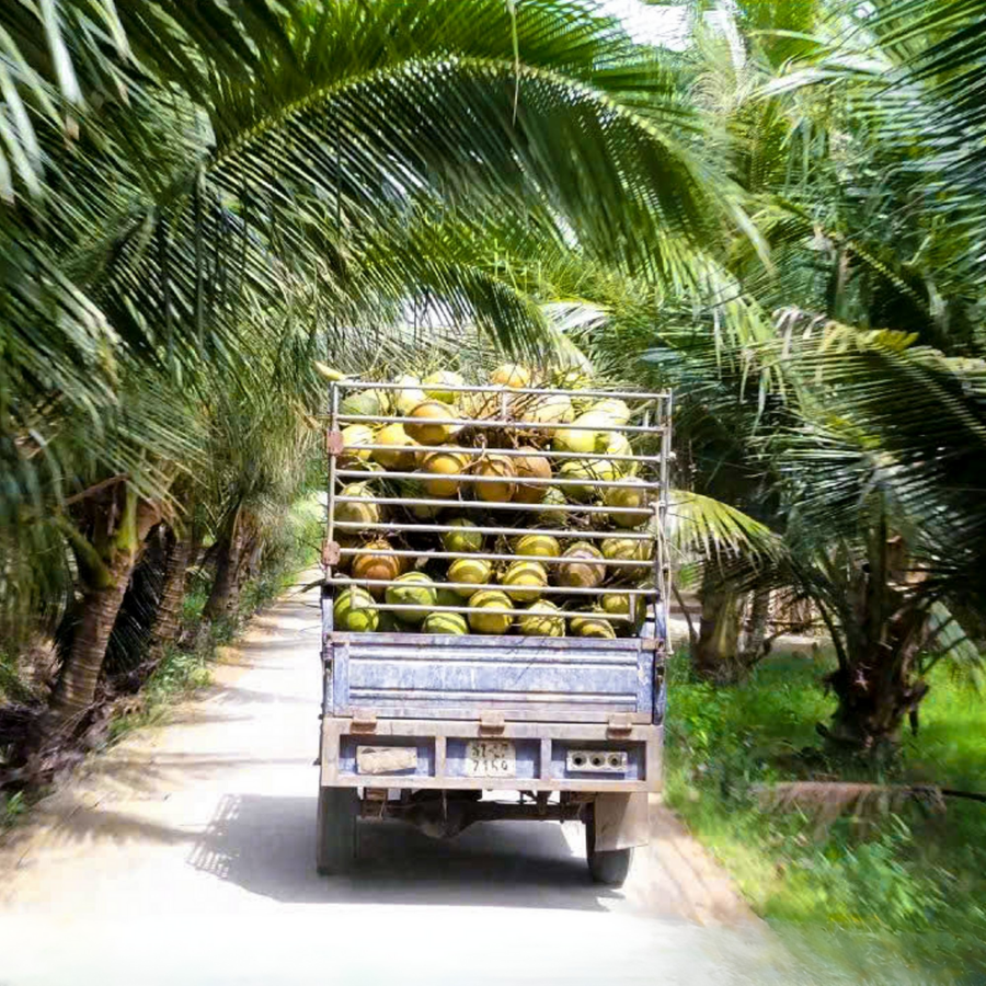 beverage QA standards