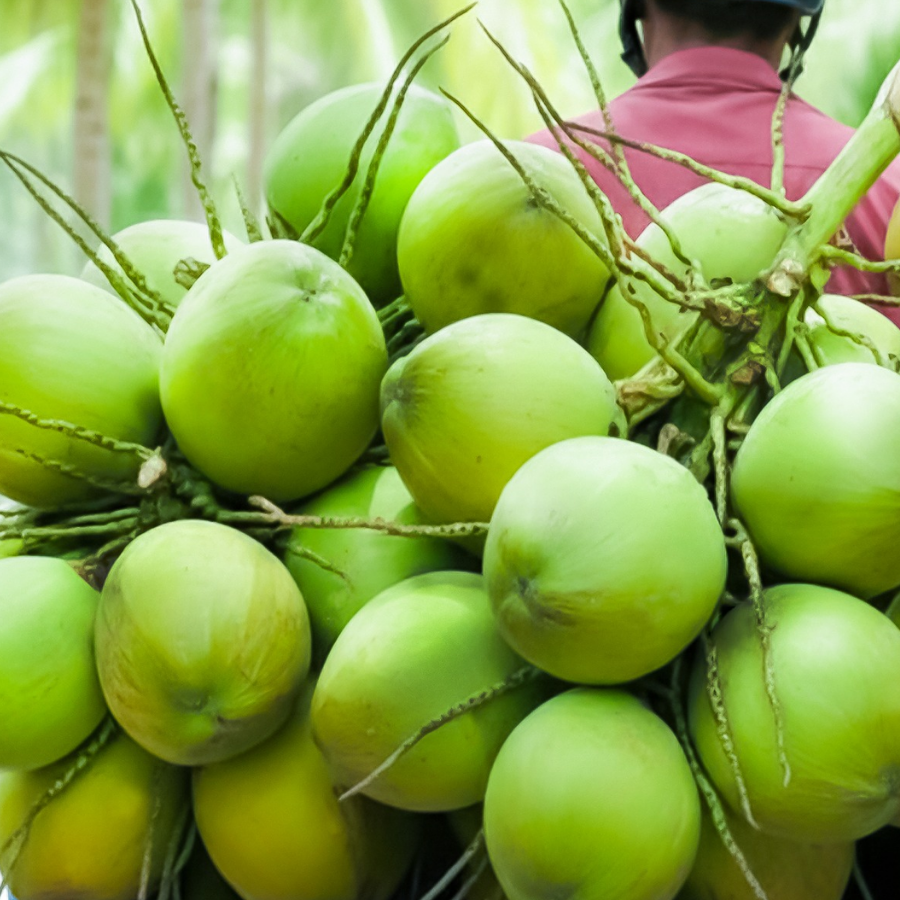 coconut water OEM