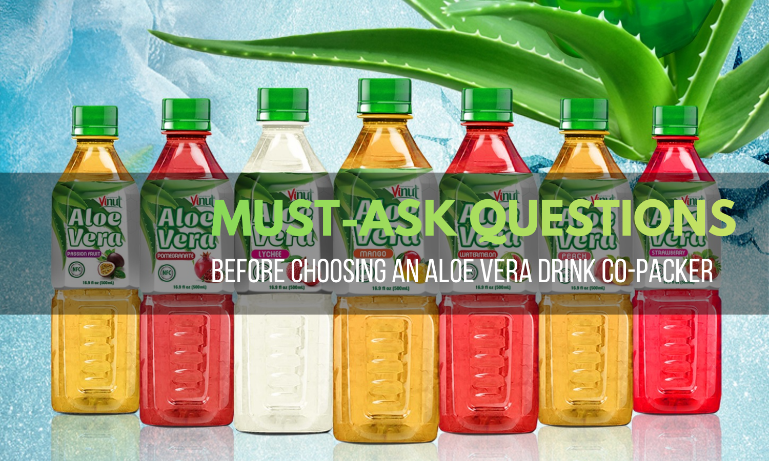 Unlocking Success: aloe vera co‑packer checklist
